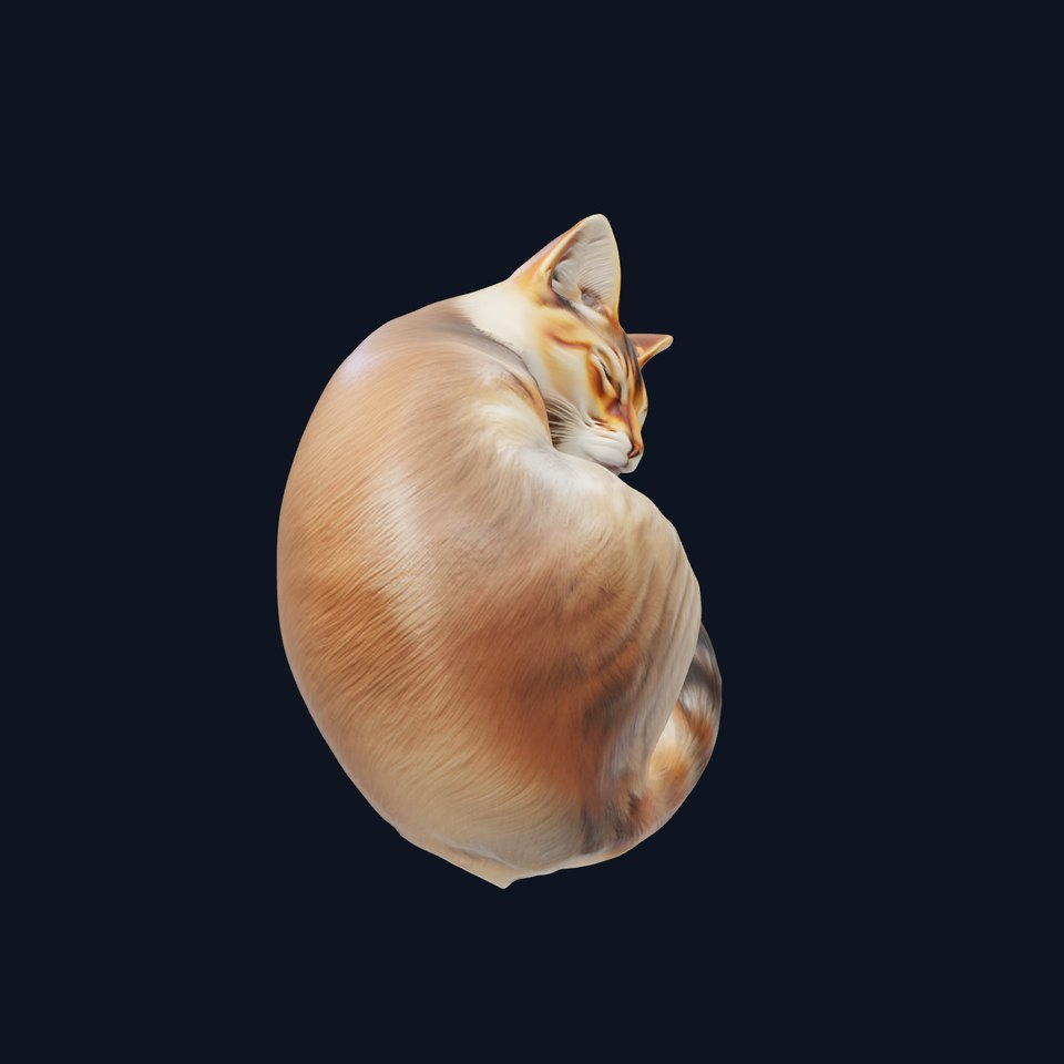 Curled Sleeping Cat Realistic Model Pack